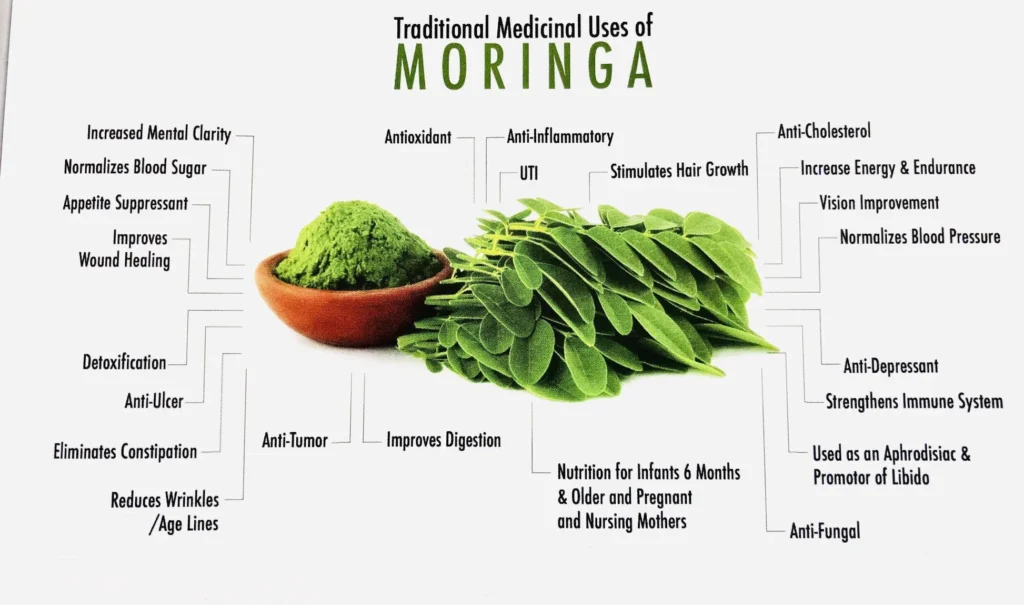 Organic Moringa Powder