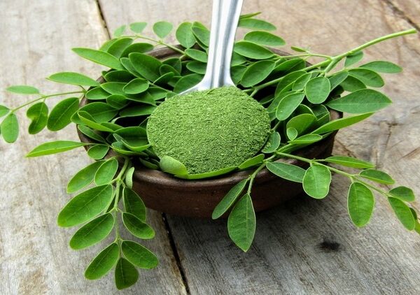 Nature’s Powerhouse: Pure Moringa Superfood Powder