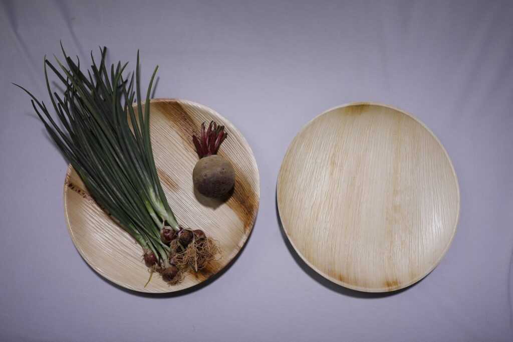 Palm Leaf Plates