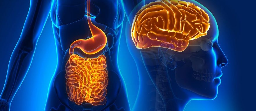 Gut-Brain Connection