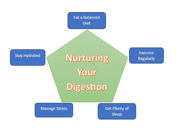 5 Tips to Nurture Your Optimal Digestive System