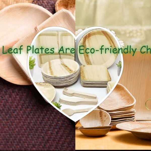 Palm Leaf Plates: The Eco-Friendly Choice for Sustainable Dining