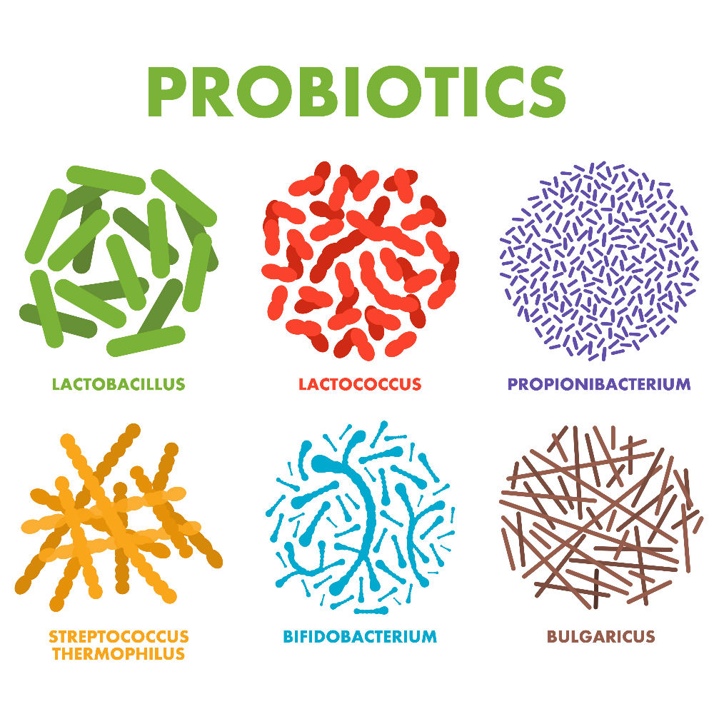 Probiotic supplements- probiotic strains