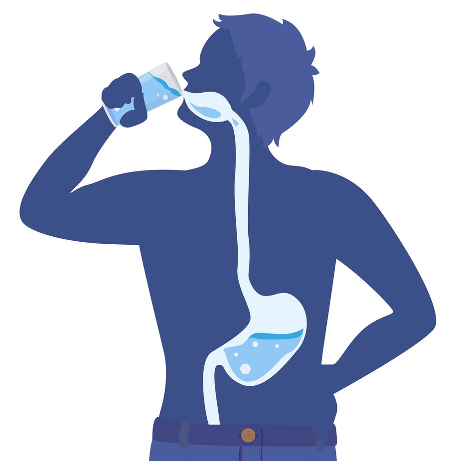 Hydration is Important for Digestive System