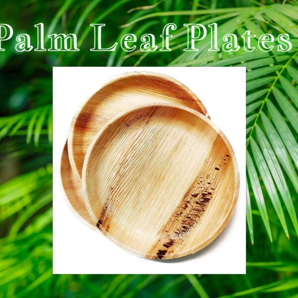 The Startling Rise of Palm Leaf Plates to Embracing Sustainability