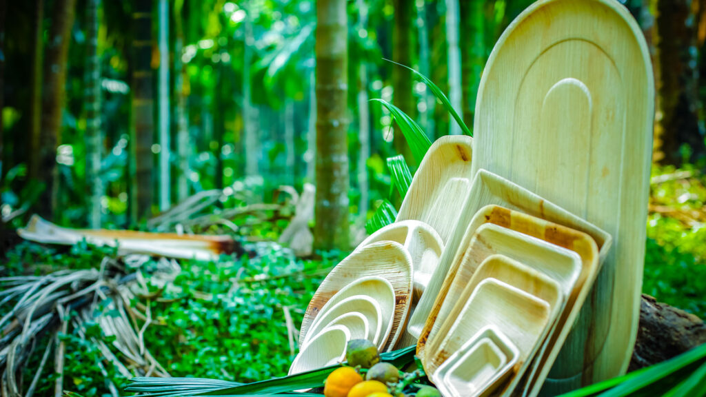 Palm leaf plates are eco-friendly alternatives