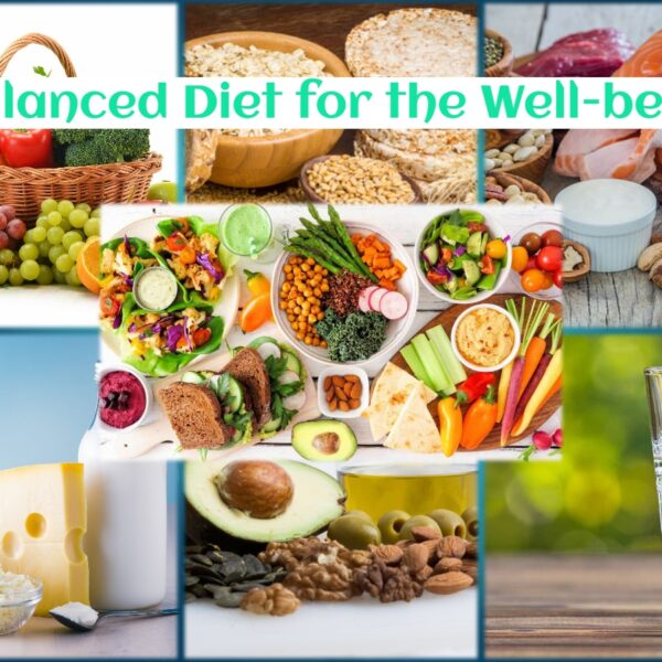 The Importance of A Balanced Diet for Digestive Health