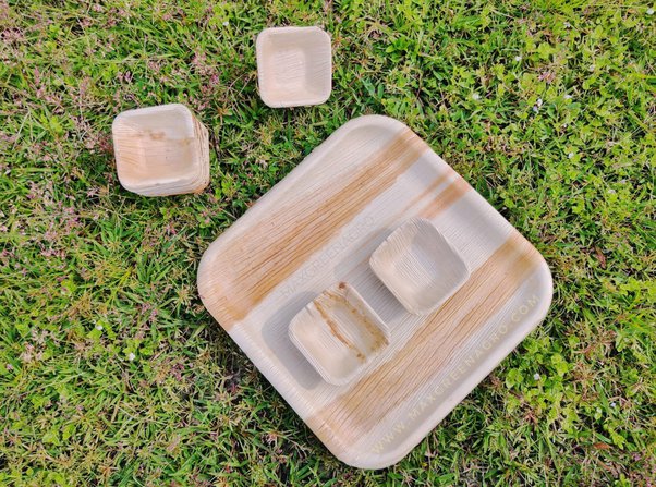 Biodegradable and Compostable Palm Leaf Plates