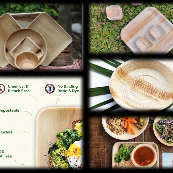 Palm Leaf Plates: Embracing Eco-Friendly Dining Solutions