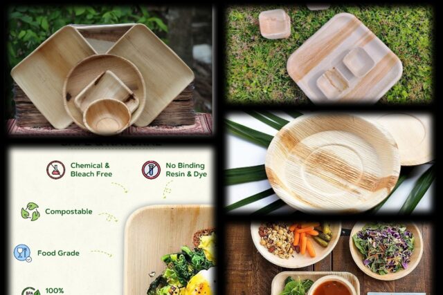 Palm Leaf Plates: Embracing Eco-Friendly Dining Solutions