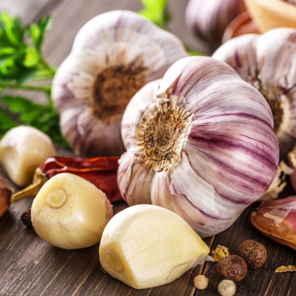 Garlic Gold: Unlocking Health with Nature’s Superfood