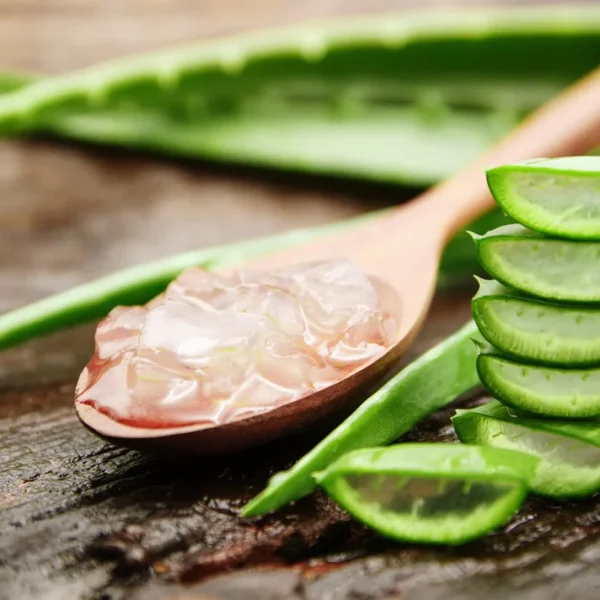 Aloe Wellness: Harness the Power of Aloe Vera Extract