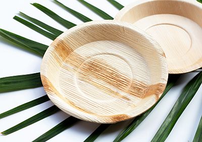 palm-leaf-plates-from leaves