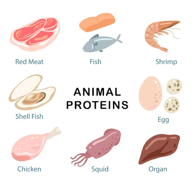 Proteins