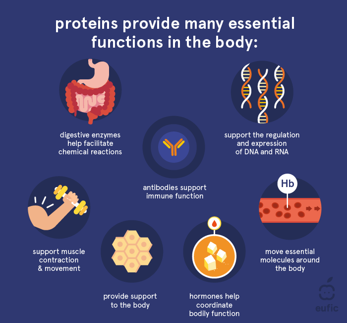 Proteins