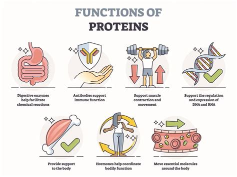 Proteins